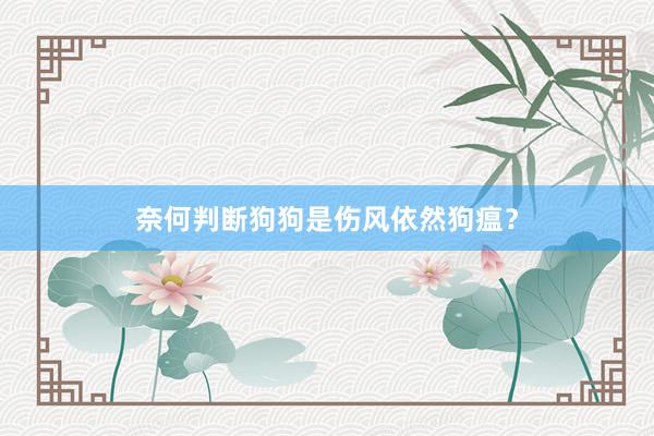 奈何判断狗狗是伤风依然狗瘟?
